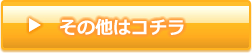 その他はコチラ